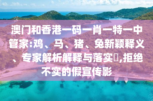 澳门和香港一码一肖一特一中管家:鸡、马、猪、兔新颖释义、专家解析解释与落实​,拒绝不实的假宣传影
